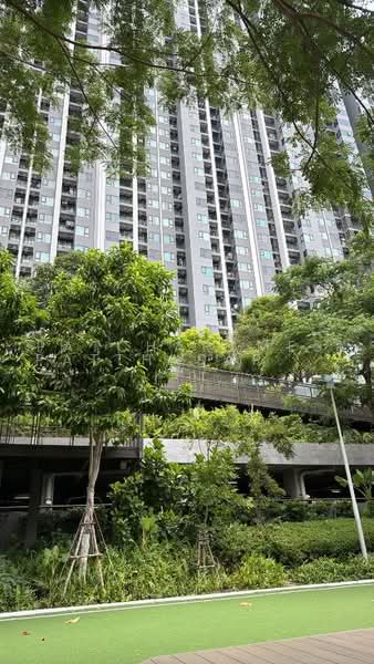 Life Sathorn Sierra, Bangkok, Ratchaphruek Rd, Talat Plu, Thon Buri, Bangkok, Studio, 29 sqm, Condo For Rent, by Patcharames Pattharapornviboon, 500453361 - DDproperty.com