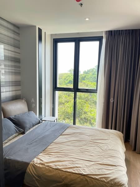 Andromeda Condominium : แอนโดรเมด้า คอนโดมิเนียม, ชลบุรี, ซอยเกษตรสิน 11, หนองปรือ, บางละมุง, ชลบุรี, 34 ตร.ม., คอนโด ขาย, โดย Pattanapong Pongpipat, 500453365 - DDproperty.com
