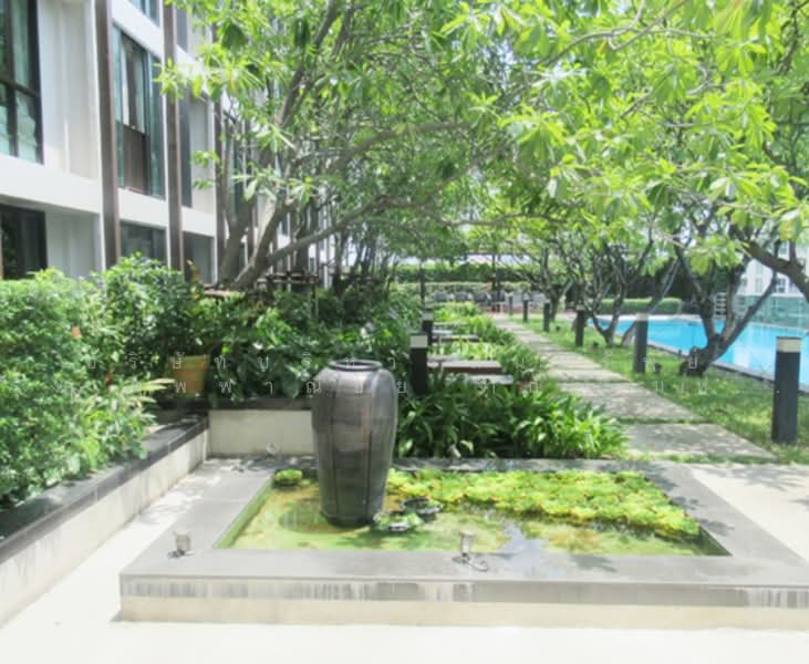 IDEO Ladprao 5, Bangkok, Lat Phrao Rd, Jom Phon, Chatuchak, Bangkok, 1 Bedroom, 33 sqm, Condo For Sale, by Bangkok Commercial Asset Management Com, 500453713 - DDproperty.com