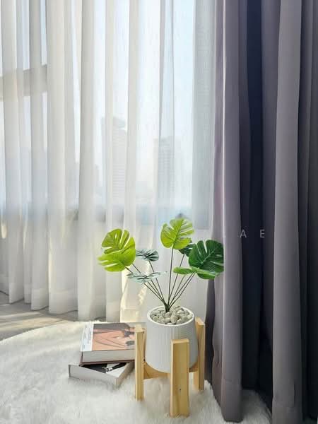 XT Ekkamai, Bangkok, 259 Soi Sukhumvit 63, Khlong Tan Nua, Watthana, Bangkok, 1 Bedroom, 31 sqm, Condo For Rent, by Najawa Salae, 500453845 - DDproperty.com