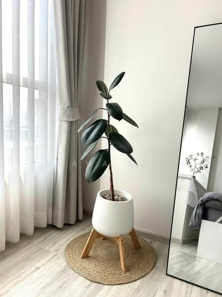 XT Huaikhwang, Bangkok, 244 Ratchadaphisek Road, Huai Khwang, Bangkok, 1 Bedroom, 30 sqm, Condo For Rent, by Najawa Salae, 500453870 - DDproperty.com