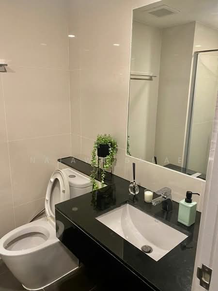 Dolce Lasalle Bang na, Bangkok, Soi Lasalle 7, Bang Na, Bangkok, 1 Bedroom, 30 sqm, Condo For Rent, by Najawa Salae, 500454060 - DDproperty.com