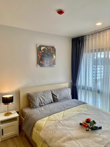 Dolce Lasalle Bang na : โดว์เช่ ลาซาล บางนา, กรุงเทพ, ซอยลาซาล 7, บางนา, กรุงเทพ, 30 ตร.ม., คอนโด ให้เช่า, โดย Najawa Salae, 500454060 - DDproperty.com