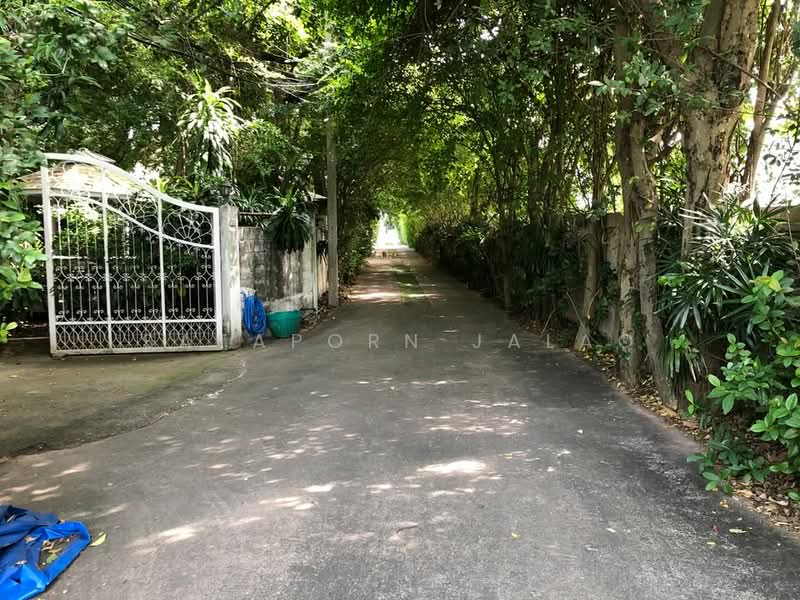 4-BR House, Bangkok, Bang Chak, Phra Khanong, Bangkok, 4 Bedrooms, 880 sqm, Single Detached House For Rent, by Sataporn Jalao, 500454264 - DDproperty.com