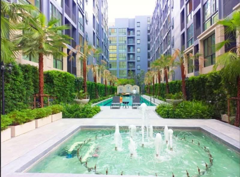 Cerocco Bangna 36, Bangkok, Bang Na-Trat 36 Alley, Bang Na, Bangkok, 1 Bedroom, 27 sqm, Condo For Rent, by Anyaporn Srikanlayanabut, 500454401 - DDproperty.com