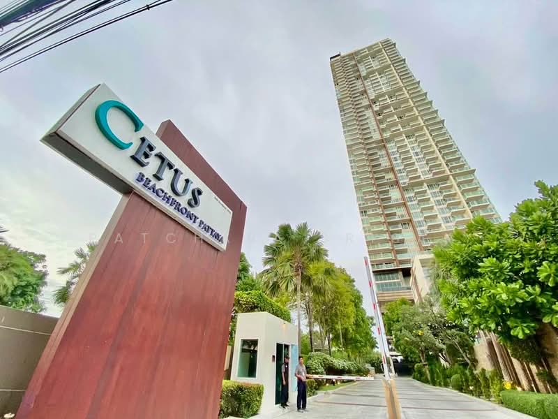 Cetus Beachfront : ซีตัส บีชฟรอนท์, ชลบุรี, หมู่ที่ 12 422 Jomtiensaineung Rd, นาเกลือ, บางละมุง, ชลบุรี, 85 ตร.ม., คอนโด ให้เช่า, โดย Patchara Srisak, 500454404 - DDproperty.com