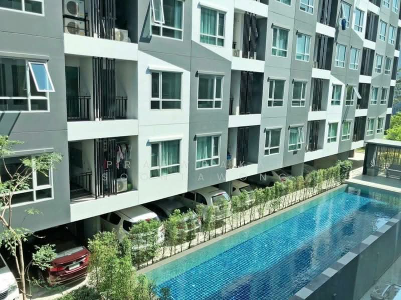 Regent Home Sukhumvit 81 : รีเจ้นท์ โฮม สุขุมวิท 81, กรุงเทพ, ซ. สุขุมวิท 81, สวนหลวง, กรุงเทพ, 28 ตร.ม., คอนโด ให้เช่า, โดย Praewpakar Soontawong, 500454687 - DDproperty.com