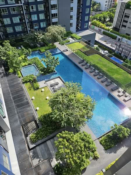 The Base Sukhumvit 77 : เดอะ เบส สุขุมวิท 77, กรุงเทพ, 289 ถนนสุขุมวิท 77, พระโขนงเหนือ, วัฒนา, กรุงเทพ, 35 ตร.ม., คอนโด ให้เช่า, โดย Praewpakar Soontawong, 500454855 - DDproperty.com