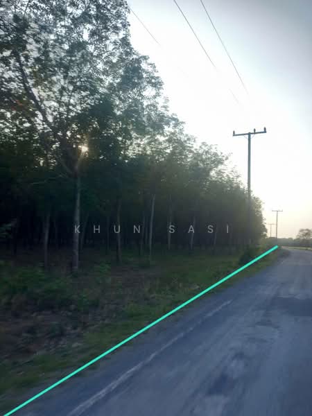 UDN001 ขายที่ดินพร้อมต้นยางพารา, Udon Thani, Mak Ya, Nong Wua So, Udon Thani, , 565,644 sqm, Land For Sale, by Khun Sasi, 500454872 - DDproperty.com