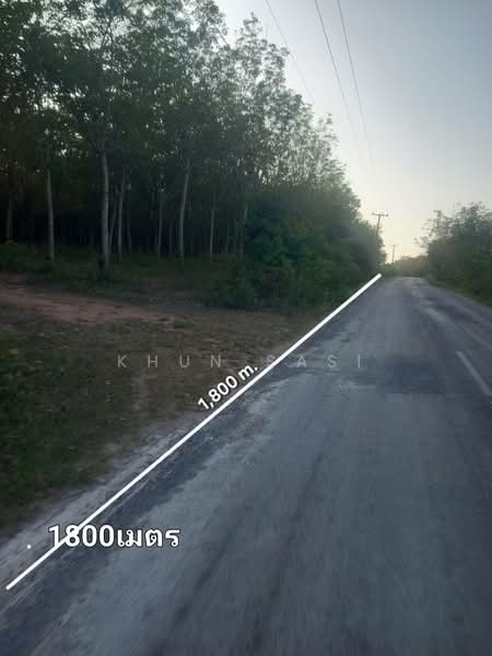 UDN001 ขายที่ดินพร้อมต้นยางพารา, Udon Thani, Mak Ya, Nong Wua So, Udon Thani, , 565,644 sqm, Land For Sale, by Khun Sasi, 500454872 - DDproperty.com