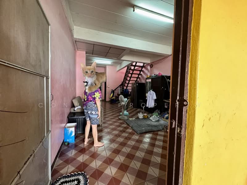 Baanwangthong Phetkasem 77 : บ้านวังทอง เพชรเกษม 77, กรุงเทพ, ถนนเพชรเกษม77, หนองแขม, กรุงเทพ, 92 ตร.ม., ทาวน์เฮ้าส์ ขาย, โดย Connex Property, 500455048 - DDproperty.com