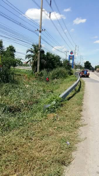 PTE005_ที่ดินลาดหลุมแก้ว ติดPTT, ปทุมธานี, ปทุมธานี บางเลน, ระแหง, ลาดหลุมแก้ว, ปทุมธานี, 47,484 ตร.ม., ที่ดิน ขาย, โดย Khun Sasi, 500455067 - DDproperty.com