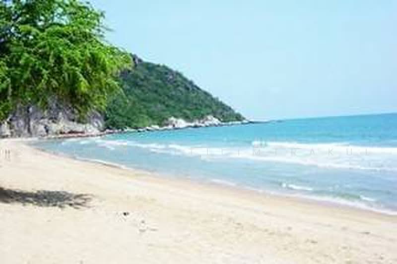 Milford Paradise, Prachuap Khiri Khan, 2003 Moo 1, Pak Nam Pran, Pran Buri, Prachuap Khiri Khan, 2 Bedrooms, 100 sqm, Condo For Rent, by Chalisa Kitilimtrakul, 500455464 - DDproperty.com