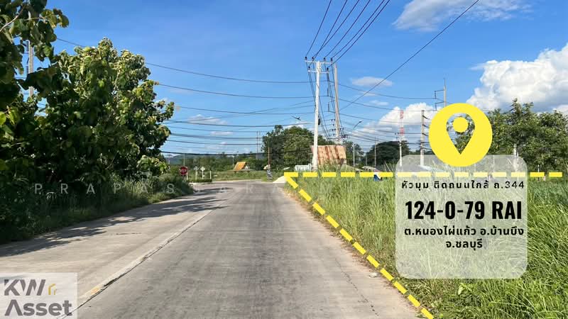 ขายที่ดิน ทำโรงงาน 124-0-79 ไร่ อ.บ้านบึง จ.ชลบุรี, Chon Buri (Pattaya), Nong Phai Kaeo, Ban Bung, Chon Buri (Pattaya), , 198,716 sqm, Business For Sale, by Prapassara Muangpin, 500455601 - DDproperty.com