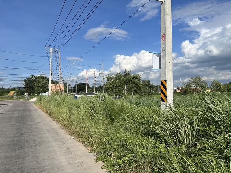 ขายที่ดิน ทำโรงงาน 124-0-79 ไร่ อ.บ้านบึง จ.ชลบุรี, Chon Buri (Pattaya), Nong Phai Kaeo, Ban Bung, Chon Buri (Pattaya), , 198,716 sqm, Business For Sale, by Prapassara Muangpin, 500455601 - DDproperty.com