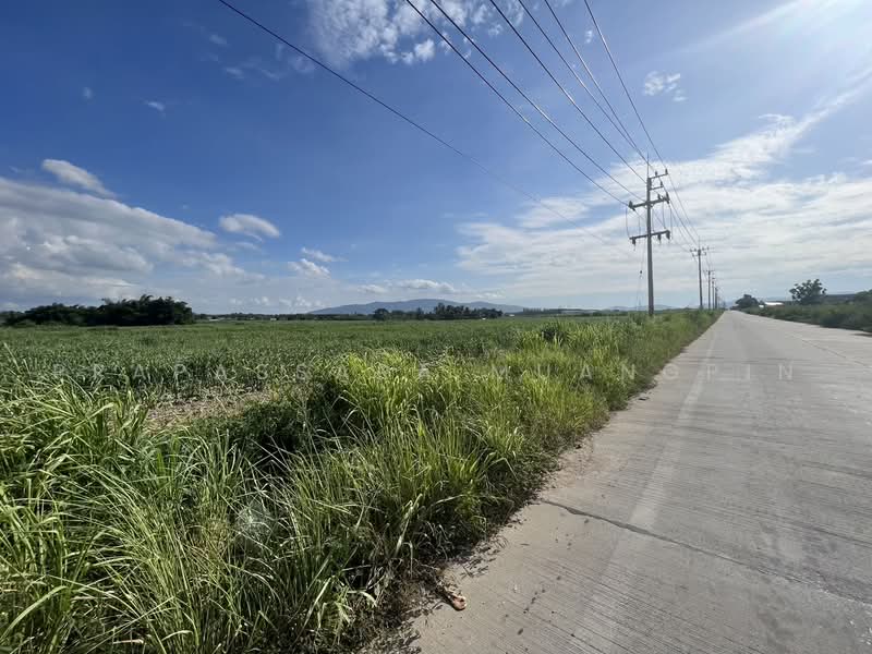 ขายที่ดิน ทำโรงงาน 124-0-79 ไร่ อ.บ้านบึง จ.ชลบุรี, Chon Buri (Pattaya), Nong Phai Kaeo, Ban Bung, Chon Buri (Pattaya), , 198,716 sqm, Business For Sale, by Prapassara Muangpin, 500455601 - DDproperty.com
