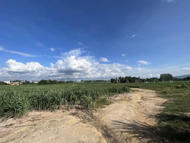 ขายที่ดิน ทำโรงงาน 124-0-79 ไร่ อ.บ้านบึง จ.ชลบุรี, Chon Buri (Pattaya), Nong Phai Kaeo, Ban Bung, Chon Buri (Pattaya), , 198,716 sqm, Business For Sale, by Prapassara Muangpin, 500455601 - DDproperty.com