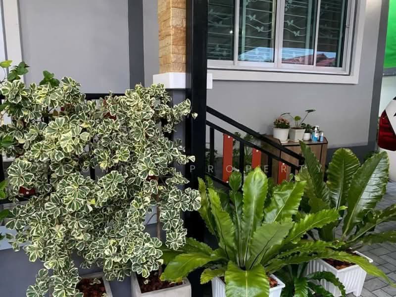 Detached house in Phetkasem 110, Bangkok, , Nong Kang Plu, Nong Khaem, Bangkok, 3 Bedrooms, 110 sqm, Single Detached House For Sale, by Connex Property, 500455657 - DDproperty.com