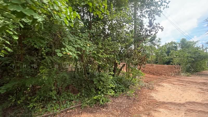 ที่ดินนางั่ว เพชรบูรณ์, Phetchabun, Na Nhgua, Muang Phetchabun, Phetchabun, , 1,396 sqm, Land For Sale, by The Best Property มิน, 500455667 - DDproperty.com