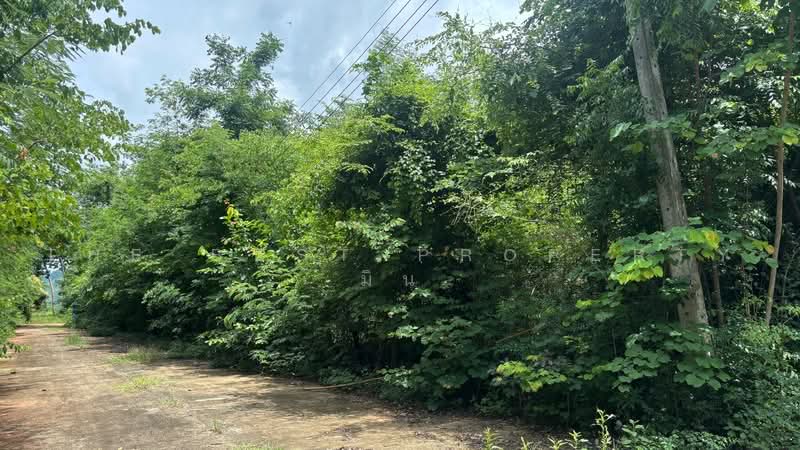 ที่ดินนางั่ว เพชรบูรณ์, Phetchabun, Na Nhgua, Muang Phetchabun, Phetchabun, , 1,396 sqm, Land For Sale, by The Best Property มิน, 500455667 - DDproperty.com