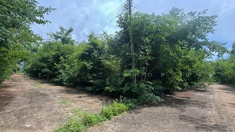 ที่ดินนางั่ว เพชรบูรณ์, Phetchabun, Na Nhgua, Muang Phetchabun, Phetchabun, , 1,396 sqm, Land For Sale, by The Best Property มิน, 500455667 - DDproperty.com