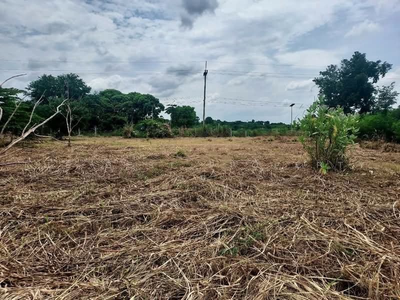 ที่ดินบ้านหมอ สระบุรี, Saraburi, Nong Bua, Ban Mo, Saraburi, , 9,027 sqm, Land For Sale, by The Best Property เป้, 500455671 - DDproperty.com