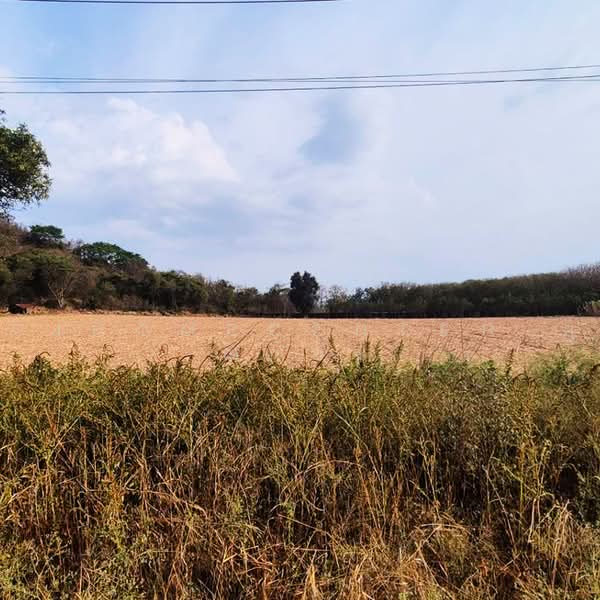 ที่ดินเปล่า401ตรว. ในสนามกอล์ฟ ไฮแลนด์ ปากช่อง, Nakhon Ratchasima, Pak Chong, Nakhon Ratchasima, , 1,604 sqm, Land For Sale, by AJHOMECENTER-คุณก้อง, 500455732 - DDproperty.com