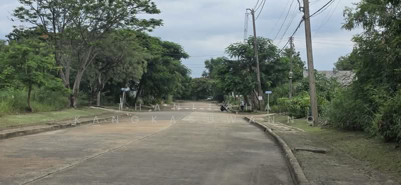 ที่ดินสิวลีรังสิต 1 ที่ดิน ขาย, Pathum Thani, Prachathipat, Thanyaburi, Pathum Thani, , 324 sqm, Land For Sale, by Thanitcha Kangkasuwanno, 500455735 - DDproperty.com