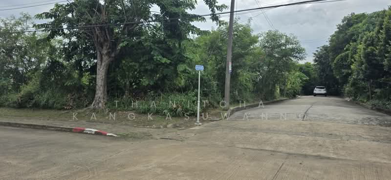 ที่ดินสิวลีรังสิต 1 ที่ดิน ขาย, Pathum Thani, Prachathipat, Thanyaburi, Pathum Thani, , 324 sqm, Land For Sale, by Thanitcha Kangkasuwanno, 500455735 - DDproperty.com