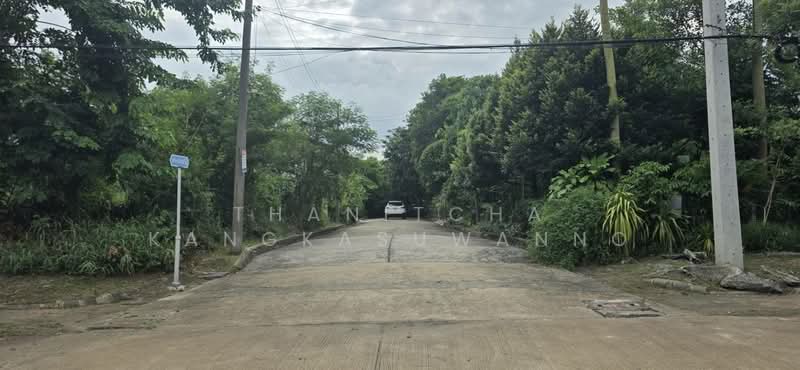 ที่ดินสิวลีรังสิต 1 ที่ดิน ขาย, Pathum Thani, Prachathipat, Thanyaburi, Pathum Thani, , 324 sqm, Land For Sale, by Thanitcha Kangkasuwanno, 500455735 - DDproperty.com