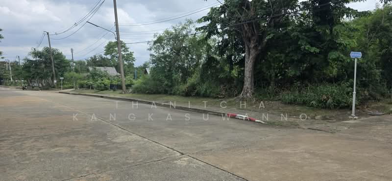 ที่ดินสิวลีรังสิต 1 ที่ดิน ขาย, ปทุมธานี, ประชาธิปัตย์, ธัญบุรี, ปทุมธานี, 324 ตร.ม., ที่ดิน ขาย, โดย Thanitcha Kangkasuwanno, 500455735 - DDproperty.com