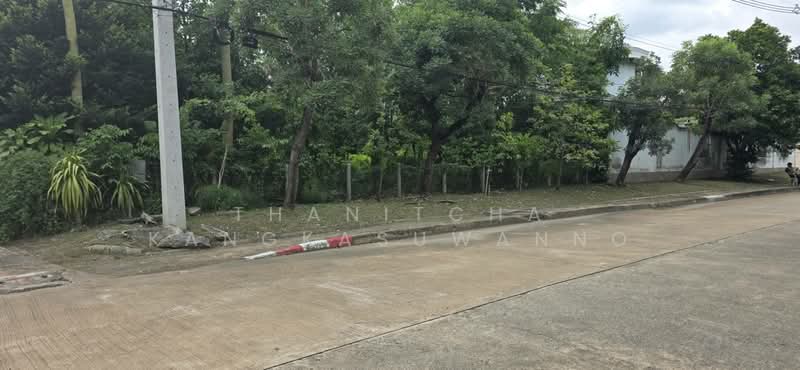 ที่ดินสิวลีรังสิต 1 ที่ดิน ขาย, ปทุมธานี, ประชาธิปัตย์, ธัญบุรี, ปทุมธานี, 324 ตร.ม., ที่ดิน ขาย, โดย Thanitcha Kangkasuwanno, 500455735 - DDproperty.com