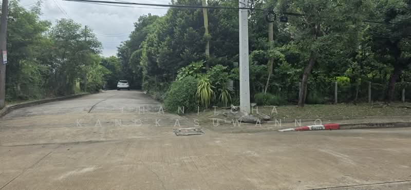 ที่ดินสิวลีรังสิต 1 ที่ดิน ขาย, ปทุมธานี, ประชาธิปัตย์, ธัญบุรี, ปทุมธานี, 324 ตร.ม., ที่ดิน ขาย, โดย Thanitcha Kangkasuwanno, 500455735 - DDproperty.com