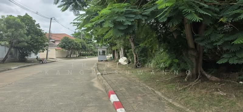 ที่ดินสิวลีรังสิต 1 ที่ดิน ขาย, ปทุมธานี, ประชาธิปัตย์, ธัญบุรี, ปทุมธานี, 324 ตร.ม., ที่ดิน ขาย, โดย Thanitcha Kangkasuwanno, 500455735 - DDproperty.com