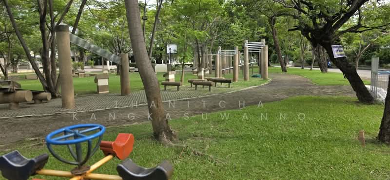 ที่ดินสิวลีรังสิต 1 ที่ดิน ขาย, Pathum Thani, Prachathipat, Thanyaburi, Pathum Thani, , 324 sqm, Land For Sale, by Thanitcha Kangkasuwanno, 500455735 - DDproperty.com