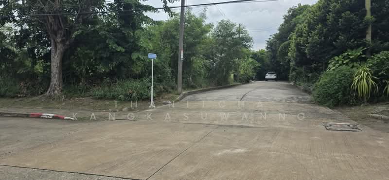ที่ดินสิวลีรังสิต 1 ที่ดิน ขาย, ปทุมธานี, ประชาธิปัตย์, ธัญบุรี, ปทุมธานี, 324 ตร.ม., ที่ดิน ขาย, โดย Thanitcha Kangkasuwanno, 500455735 - DDproperty.com