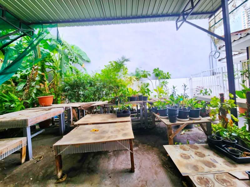 ไม่พบโครงการ, กรุงเทพ, สาทรใต้, ยานนาวา, สาทร, กรุงเทพ, 804 ตร.ม., ตึกแถว-อาคารพาณิชย์ ให้เช่า, โดย ณัฐพงศ์ สุนทรอรุณ, 500455819 - DDproperty.com