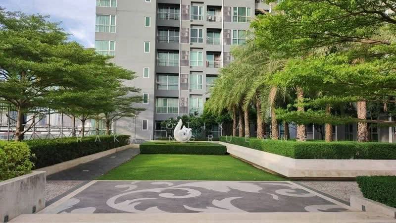Rhythm Sukhumvit 50, Bangkok, 8 Sukhumvit 50, Sukhumvit Road, Phra Kanong, Khlong Toei, Bangkok, 1 Bedroom, 45 sqm, Condo For Rent, by Chotika Rakrungrueang, 500456381 - DDproperty.com