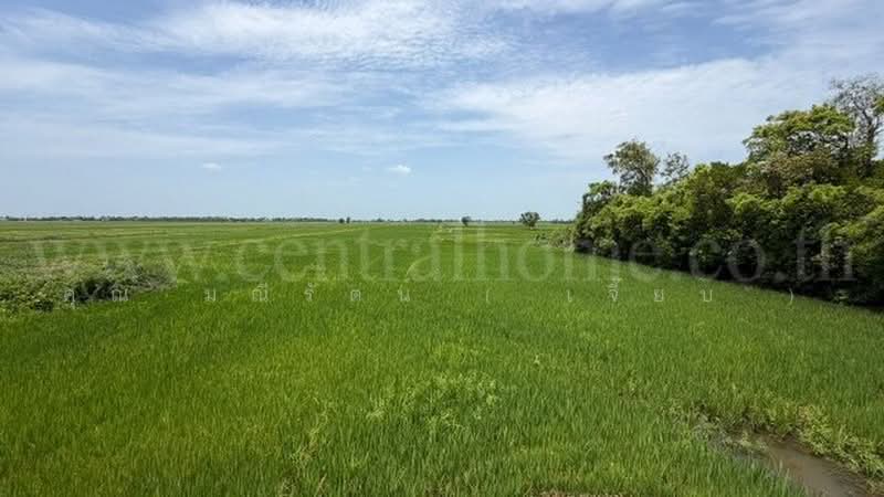 วังพัฒนา, Phra Nakhon Si Ayutthaya, ทางหลวงชนบท อย.4004, Wang Phtthana, Bang Sai, Phra Nakhon Si Ayutthaya, , 7,452 sqm, Land For Sale, by คุณ มณีรัตน์ ( เจี๊ยบ ), 500456484 - DDproperty.com