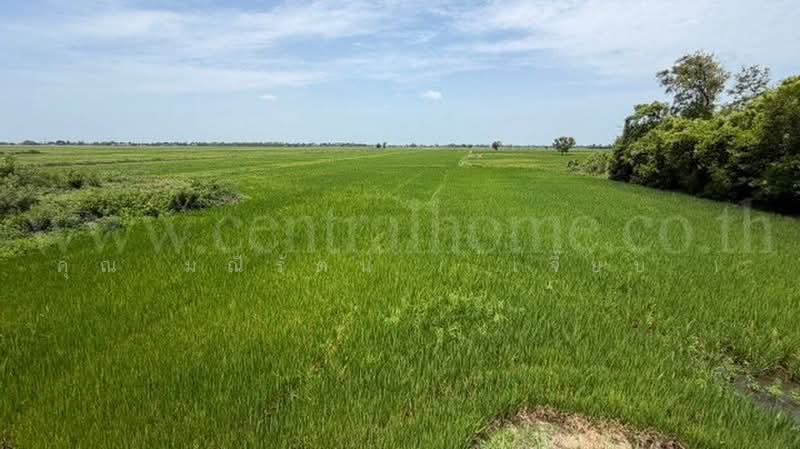 วังพัฒนา, พระนครศรีอยุธยา, ทางหลวงชนบท อย.4004, วังพัฒนา, บางซ้าย, พระนครศรีอยุธยา, 7,452 ตร.ม., ที่ดิน ขาย, โดย คุณ มณีรัตน์ ( เจี๊ยบ ), 500456484 - DDproperty.com