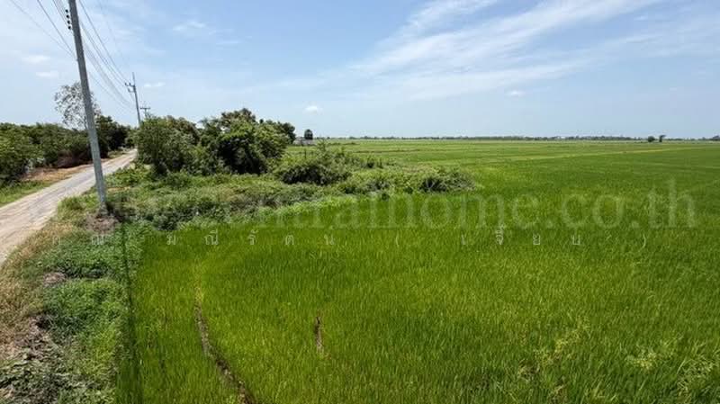 วังพัฒนา, Phra Nakhon Si Ayutthaya, ทางหลวงชนบท อย.4004, Wang Phtthana, Bang Sai, Phra Nakhon Si Ayutthaya, , 7,452 sqm, Land For Sale, by คุณ มณีรัตน์ ( เจี๊ยบ ), 500456484 - DDproperty.com