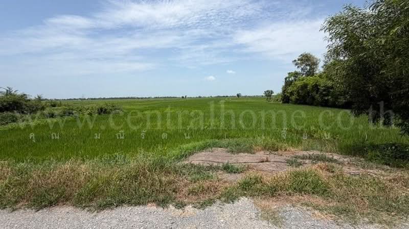 วังพัฒนา, Phra Nakhon Si Ayutthaya, ทางหลวงชนบท อย.4004, Wang Phtthana, Bang Sai, Phra Nakhon Si Ayutthaya, , 7,452 sqm, Land For Sale, by คุณ มณีรัตน์ ( เจี๊ยบ ), 500456484 - DDproperty.com