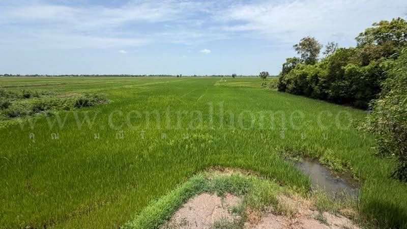 วังพัฒนา, Phra Nakhon Si Ayutthaya, ทางหลวงชนบท อย.4004, Wang Phtthana, Bang Sai, Phra Nakhon Si Ayutthaya, , 7,452 sqm, Land For Sale, by คุณ มณีรัตน์ ( เจี๊ยบ ), 500456484 - DDproperty.com