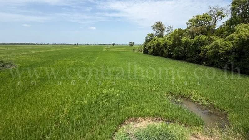 วังพัฒนา, Phra Nakhon Si Ayutthaya, ทางหลวงชนบท อย.4004, Wang Phtthana, Bang Sai, Phra Nakhon Si Ayutthaya, , 7,452 sqm, Land For Sale, by คุณ มณีรัตน์ ( เจี๊ยบ ), 500456484 - DDproperty.com