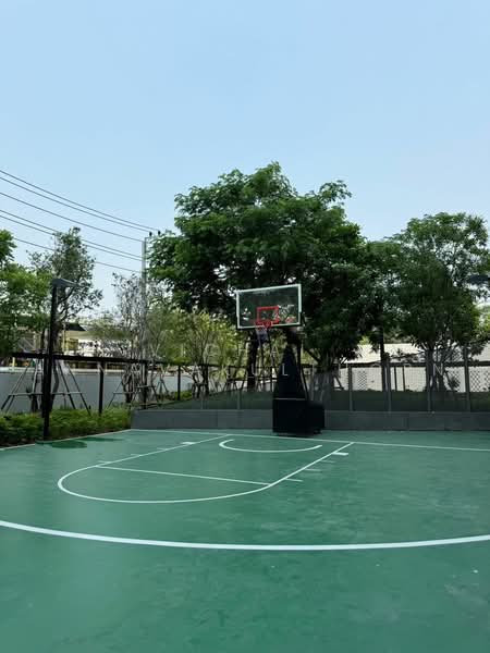 Skyrise Avenue Sukhumvit 64 : สกายไลน์ อเวนิว สุขุมวิท 64, กรุงเทพ, 3 ถนนสุขุมวิท 64, บางจาก, พระโขนง, กรุงเทพ, 45 ตร.ม., คอนโด ให้เช่า, โดย Vichai Annavakulthorn, 500456726 - DDproperty.com