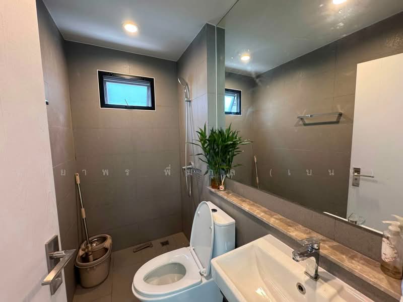COMO BOTANICA II Bangna, Samut Prakan, Soi Mahachai, Bangna Trad Road, Bangphli Yai, Bang Plee, Samut Prakan, 3 Bedrooms, 168 sqm, Single Detached House For Rent, by Nattayaporn Peumkul (Benz), 500456860 - DDproperty.com