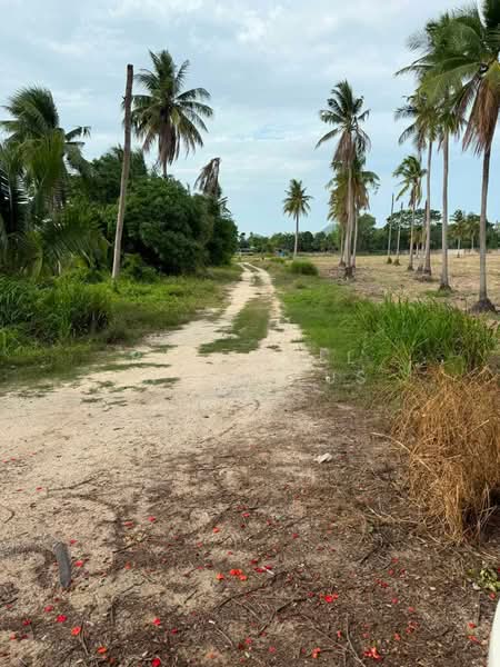Land for sale in Huai Yai, Mab Fak Thong, 16 rai, adjacent to a concrete road, Chon Buri (Pattaya), Huai Yai, Bang Lamung (Pattaya), Chon Buri (Pattaya), , 26,320 sqm, Land For Sale, by RICHWELL INTERPLUS, 500456901 - DDproperty.com