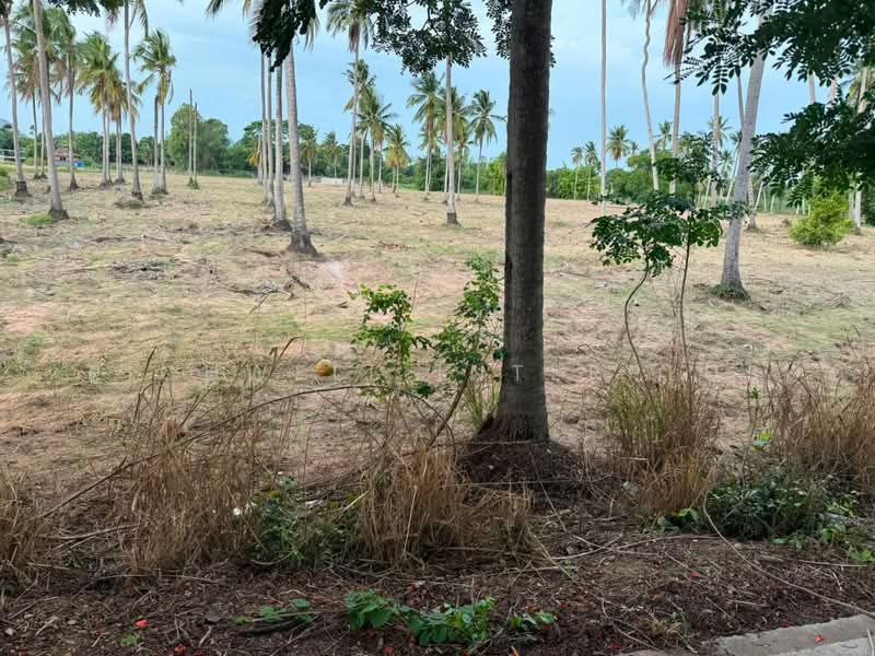 Land for sale in Huai Yai, Mab Fak Thong, 16 rai, adjacent to a concrete road, Chon Buri (Pattaya), Huai Yai, Bang Lamung (Pattaya), Chon Buri (Pattaya), , 26,320 sqm, Land For Sale, by RICHWELL INTERPLUS, 500456901 - DDproperty.com