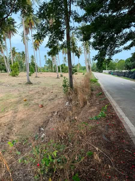 Land for sale in Huai Yai, Mab Fak Thong, 16 rai, adjacent to a concrete road, Chon Buri (Pattaya), Huai Yai, Bang Lamung (Pattaya), Chon Buri (Pattaya), , 26,320 sqm, Land For Sale, by RICHWELL INTERPLUS, 500456901 - DDproperty.com
