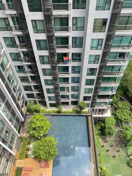 Rhythm Sukhumvit 36-38 : ริทึ่ม สุขุมวิท 36-38, กรุงเทพ, 55 ซอยสุขุมวิท 36 ถนนสุขุมวิท, พระโขนง, คลองเตย, กรุงเทพ, 24 ตร.ม., คอนโด ให้เช่า, โดย Nareerat Pimsawang, 500456906 - DDproperty.com